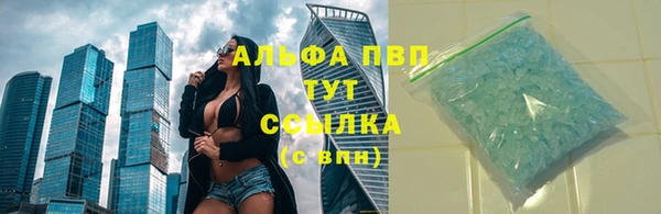 СК Арсеньев