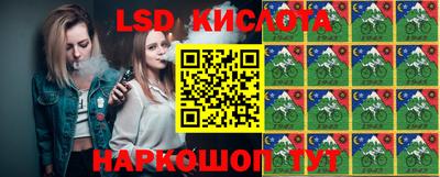 шишки Керчь