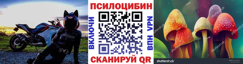 закладки  Карабулак  KRAKEN ТОР  Псилоцибиновые грибы Cubensis 